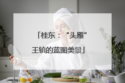 桂东：“头雁”王镇的蓝图美景